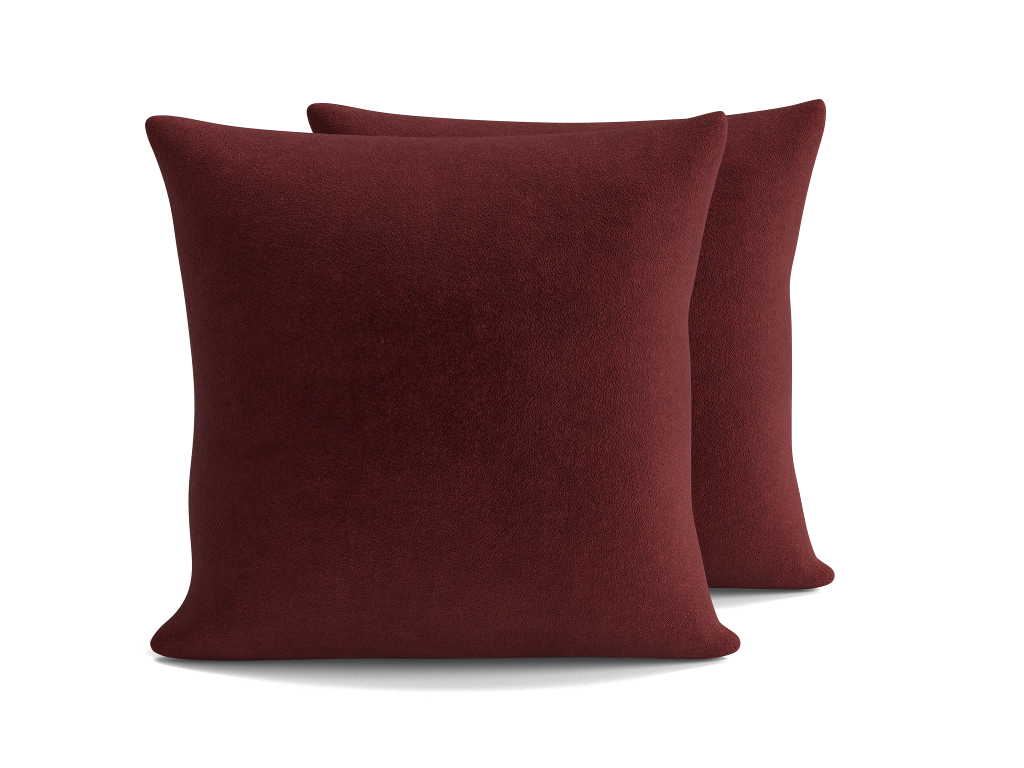 Decorative Knife Edge Pillows 22 x 22 (Set of 2)
