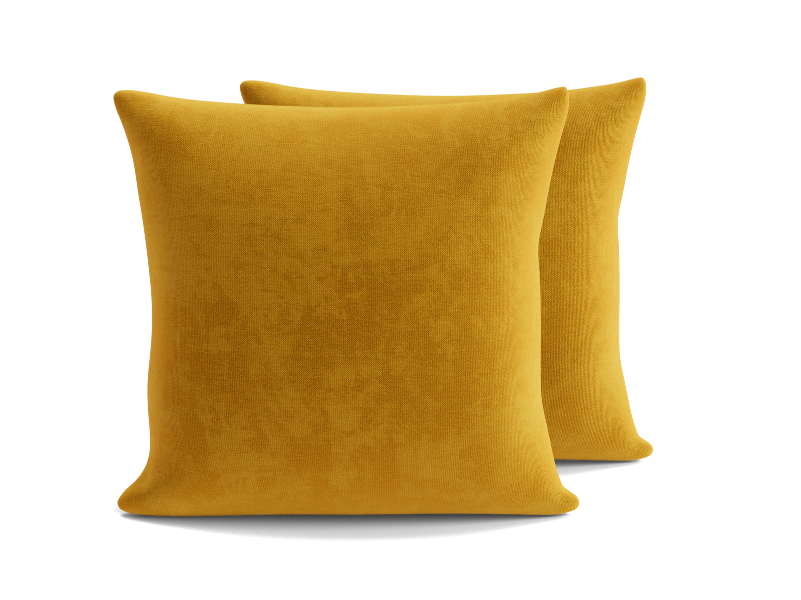 Decorative Knife Edge Pillows 22 x 22 (Set of 2)