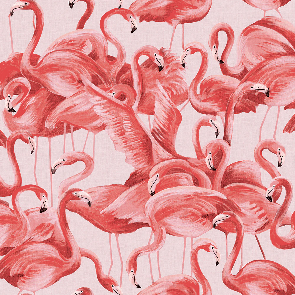 Coral Flamingo Wallpaper