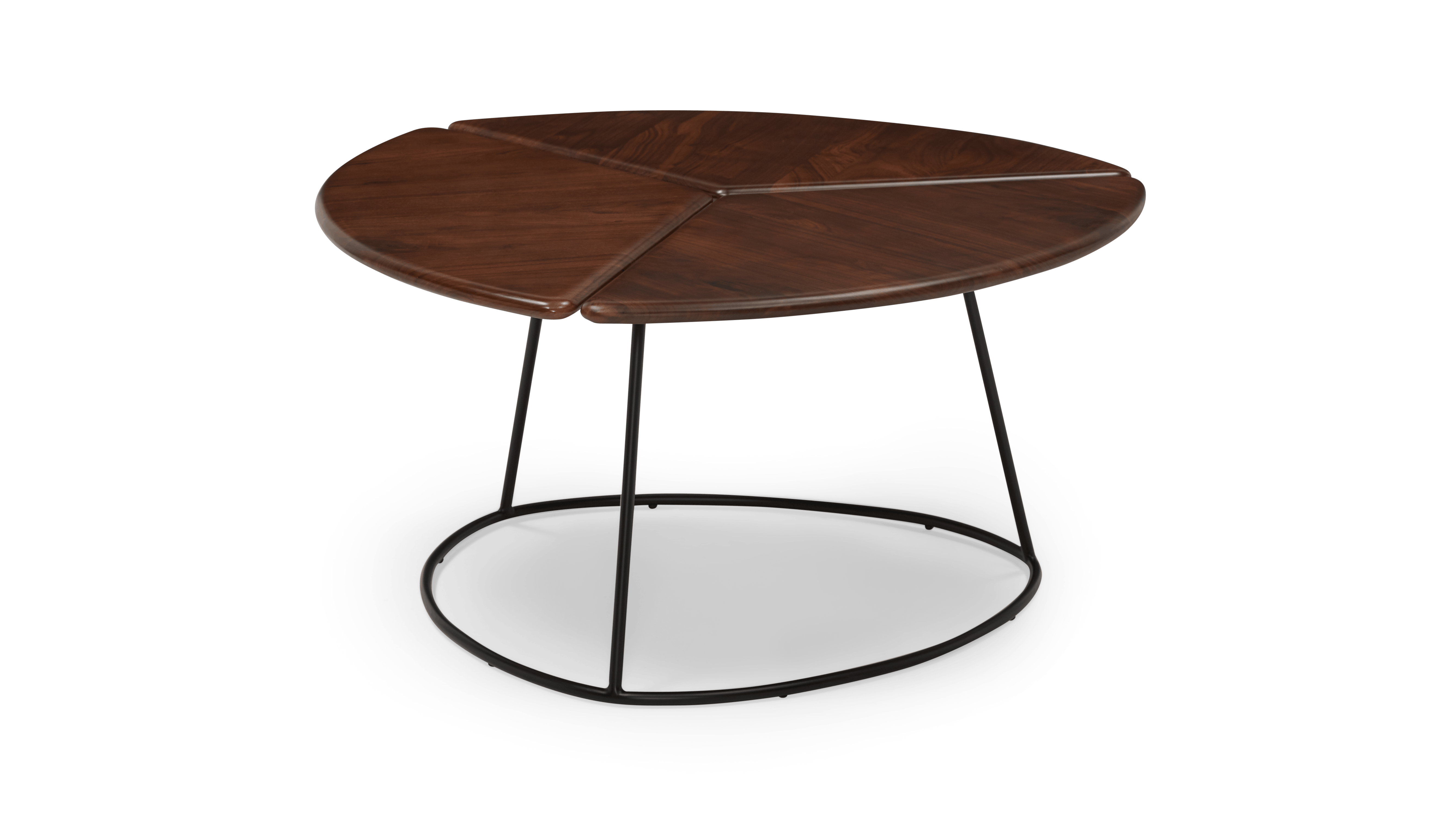 Monstera coffee table hotsell