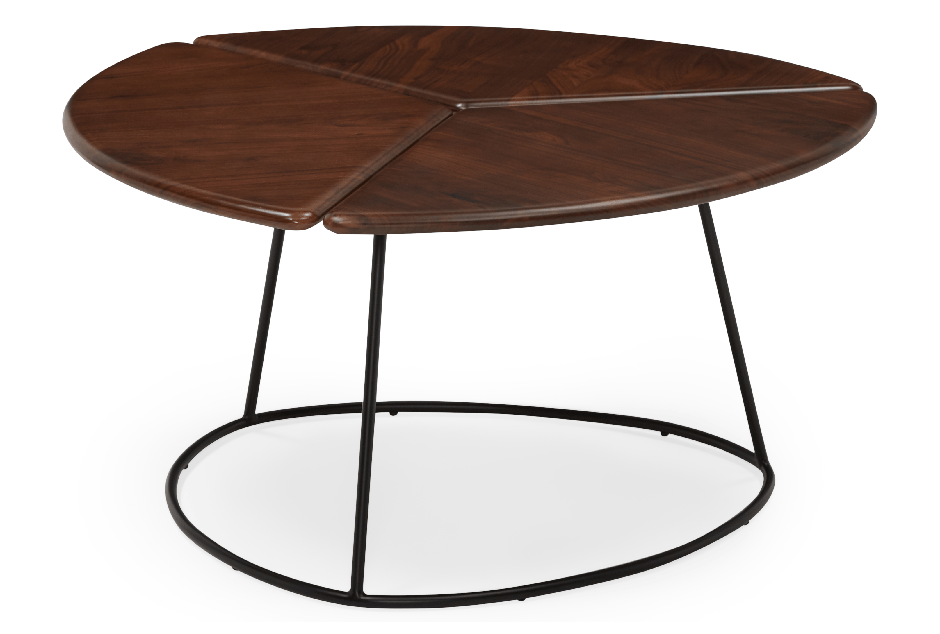 monstera coffee table