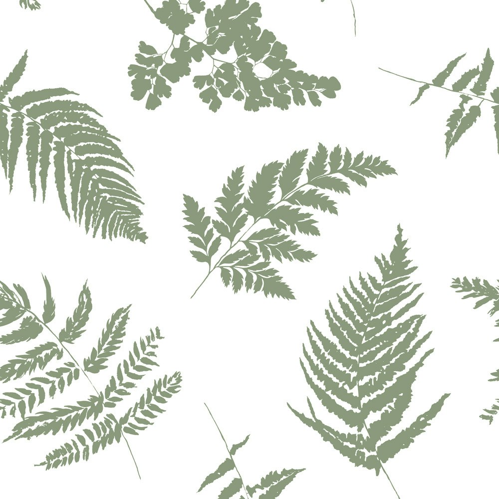 fern leaves wallpaper
