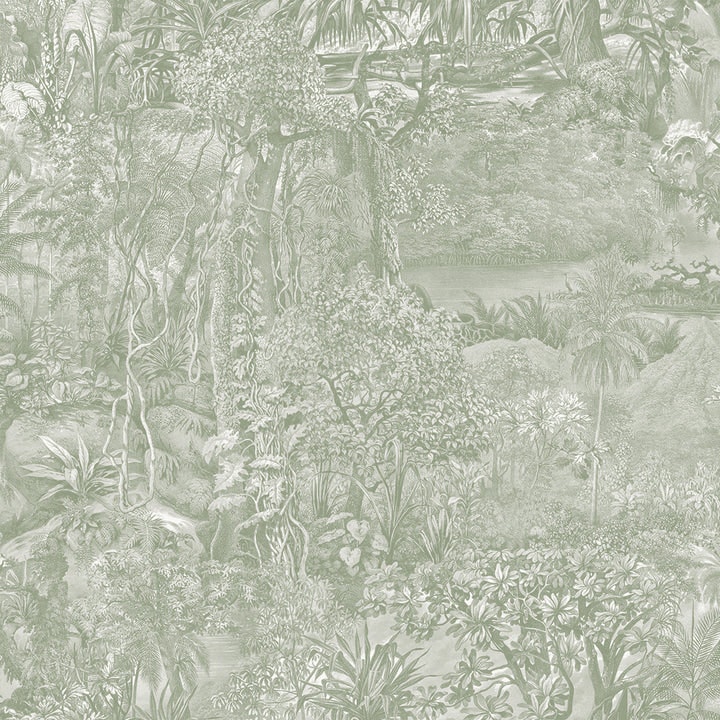 subtropical wallpaper