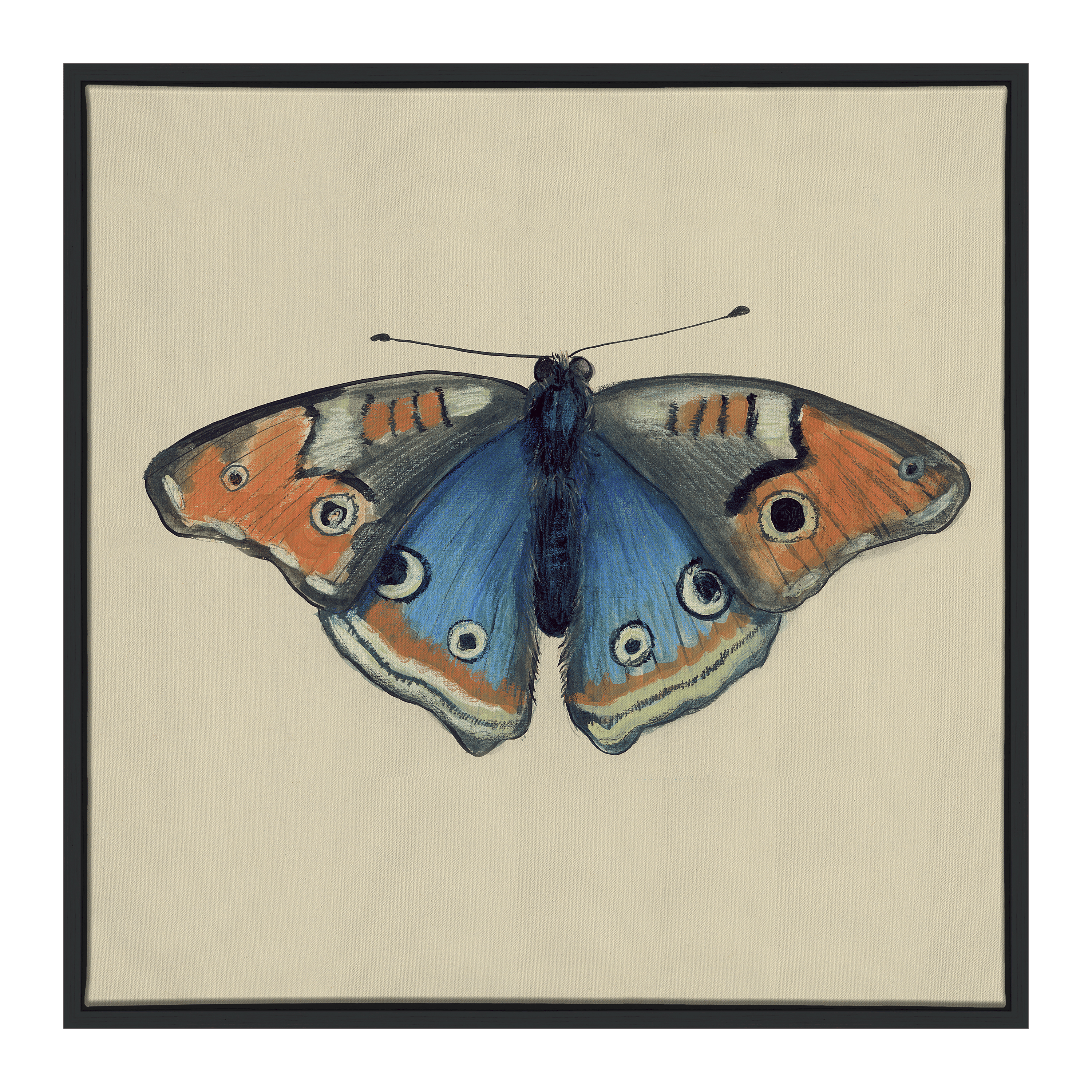wllrng butterfly wall art orange