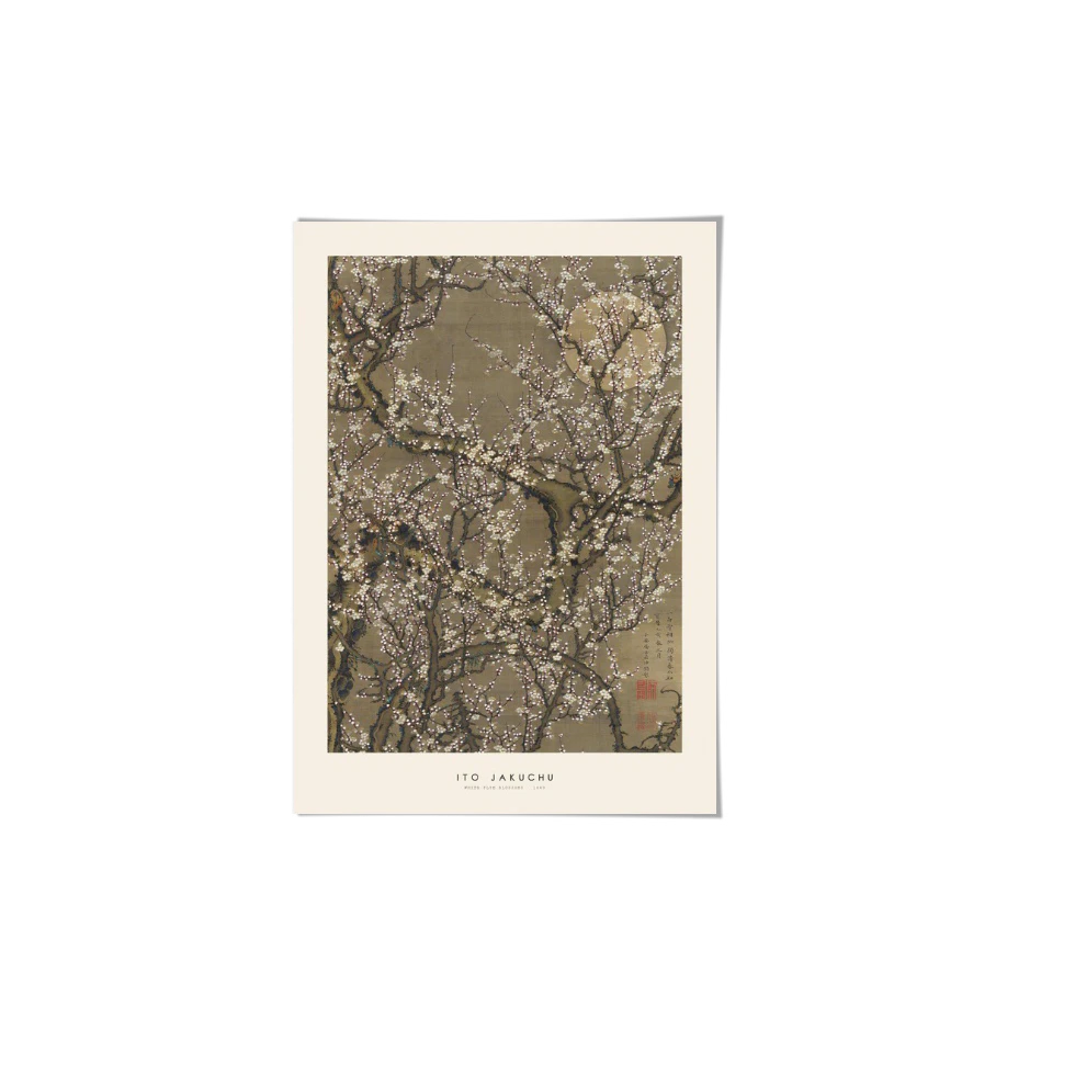 Ito Jakuchu - White Plum Art Print