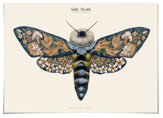 Silk Moths No. 13 Art Print