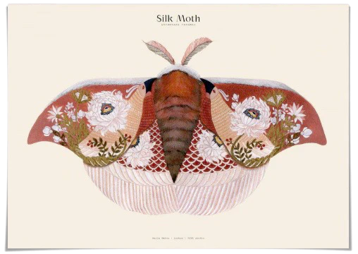 Silk Moths No. 6 Art Print
