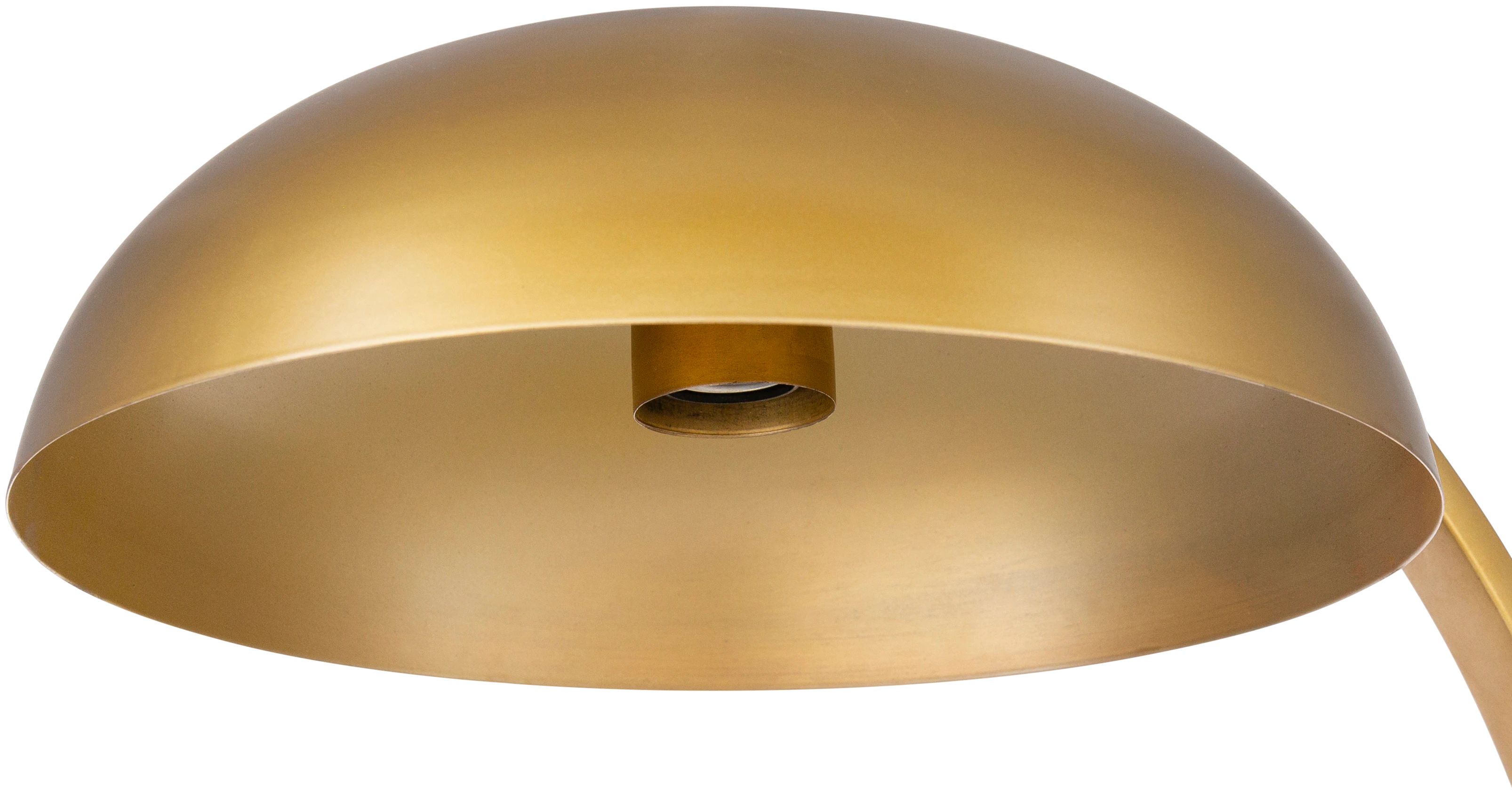 taylor table lamp
