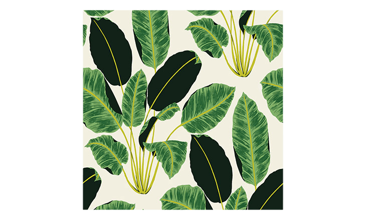 emerald cubanas wallpaper