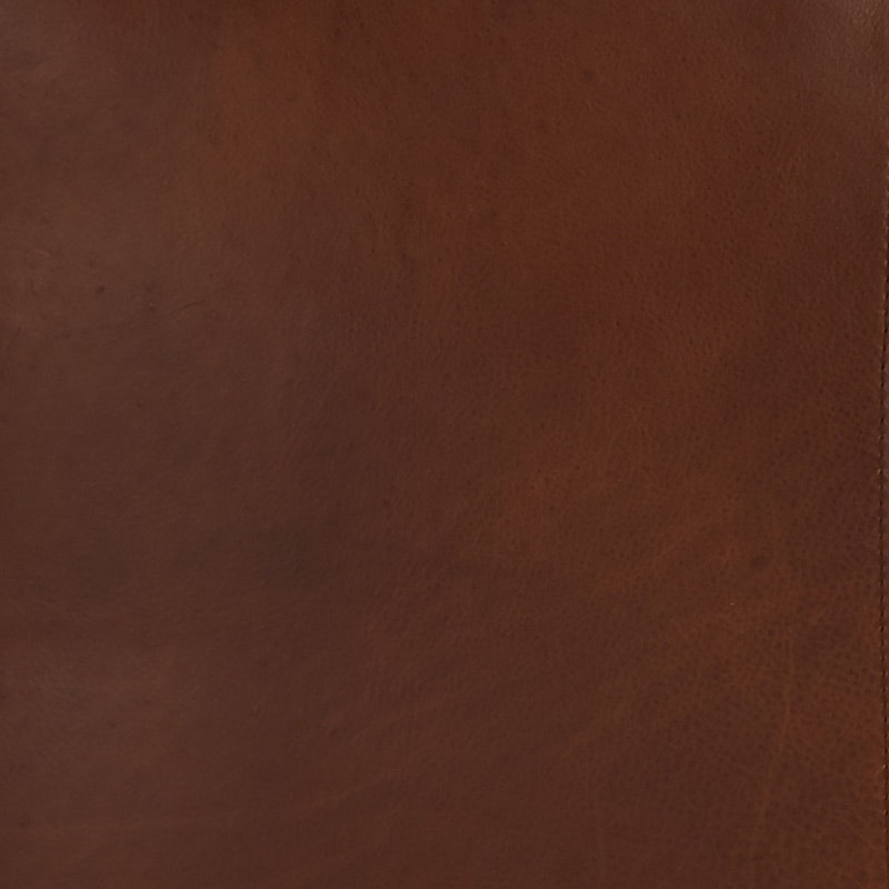 Jaxon Leather Sofa Joybird