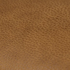 290x290 extra large Toledo Camel