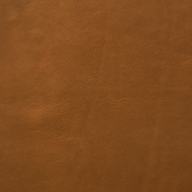 Defy Fawn