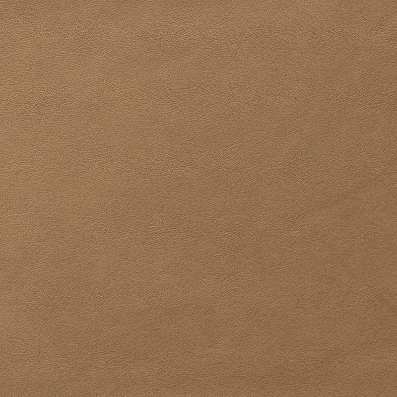 Priceless Taupe