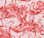 coral flamingo wallpaper
