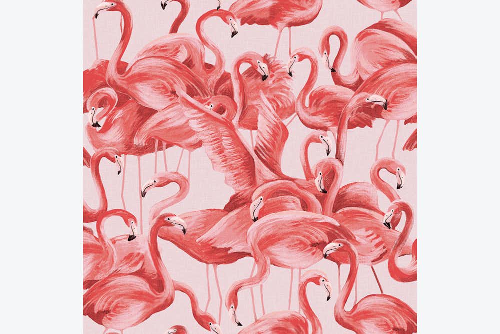 coral flamingo wallpaper