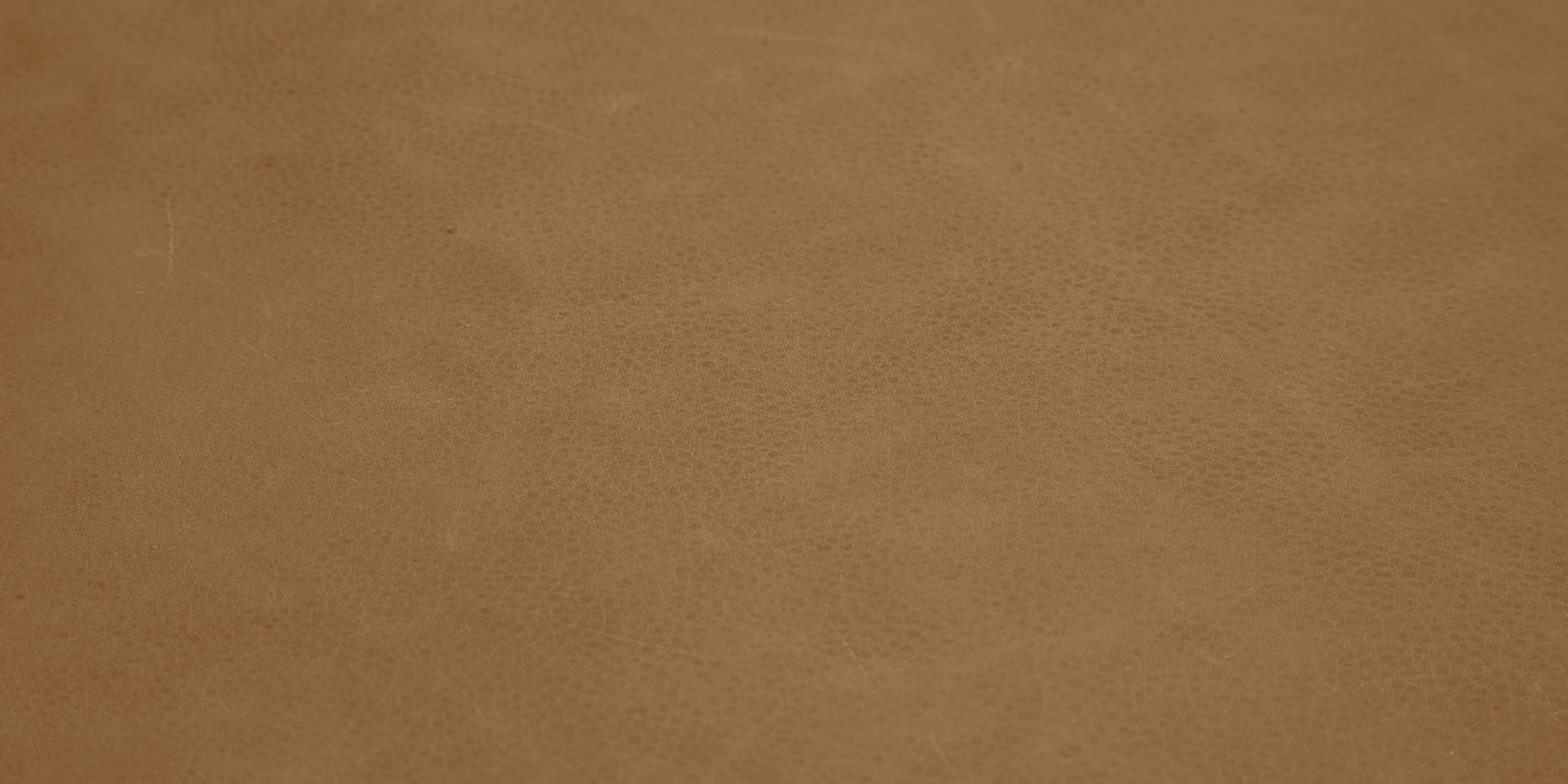 Ryker Leather Sofa Toledo Camel