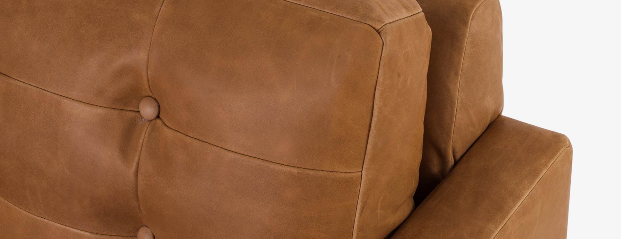 Eliot Leather Sofa Joybird