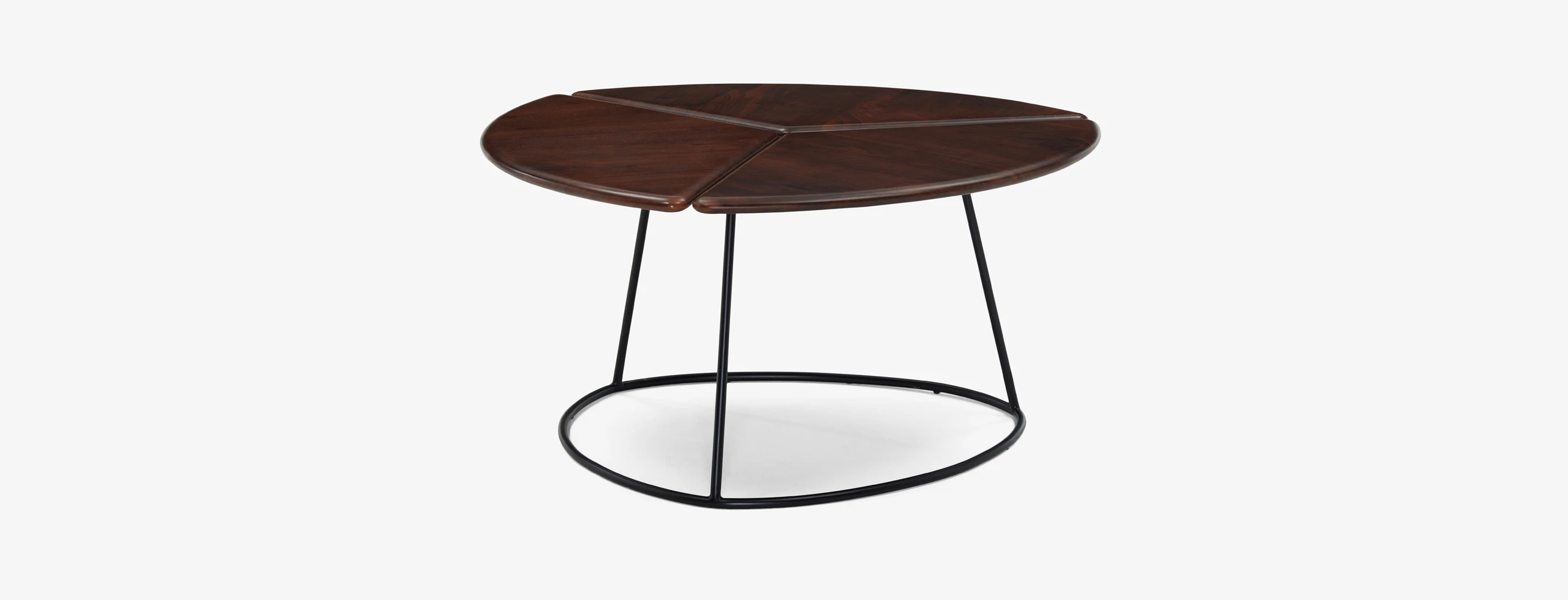 Monstera Coffee Table
