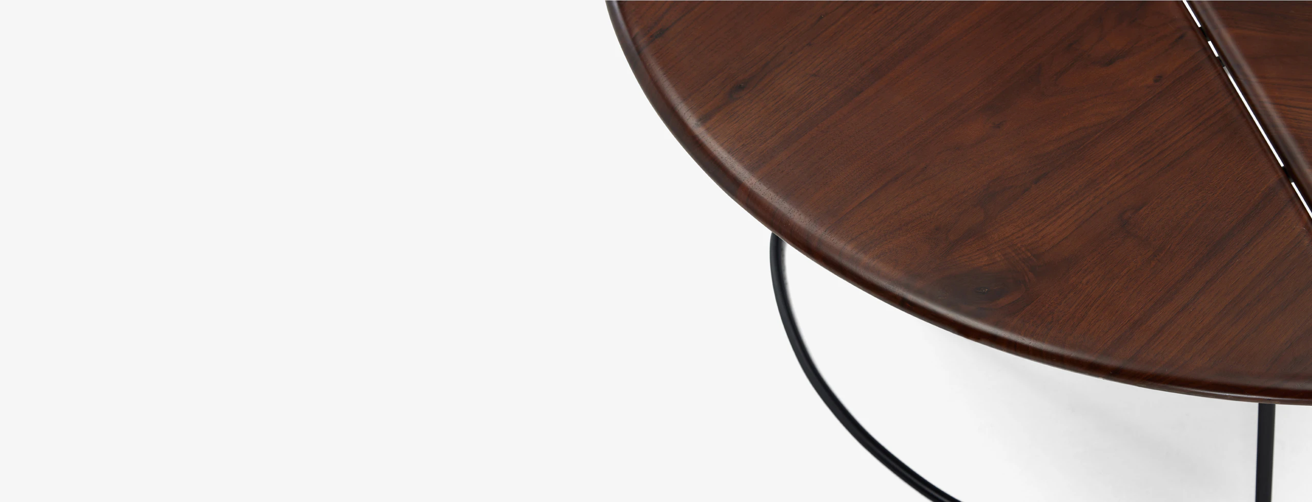 Monstera Coffee Table