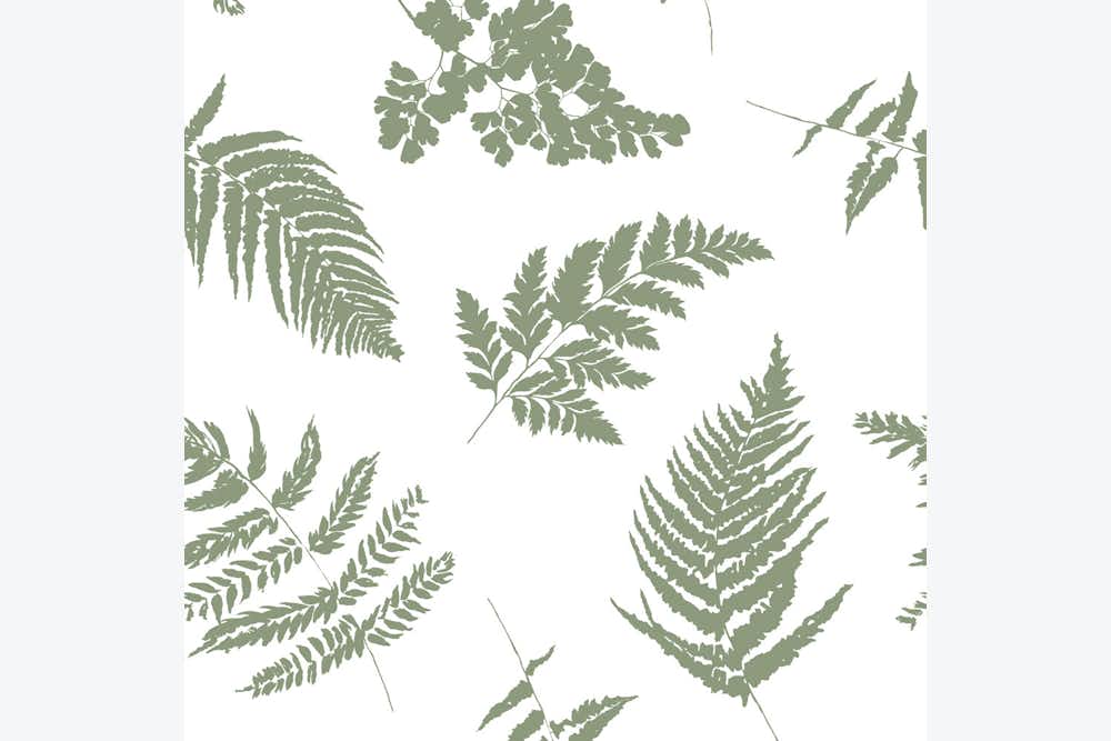 Fern Leaves Wallpaper