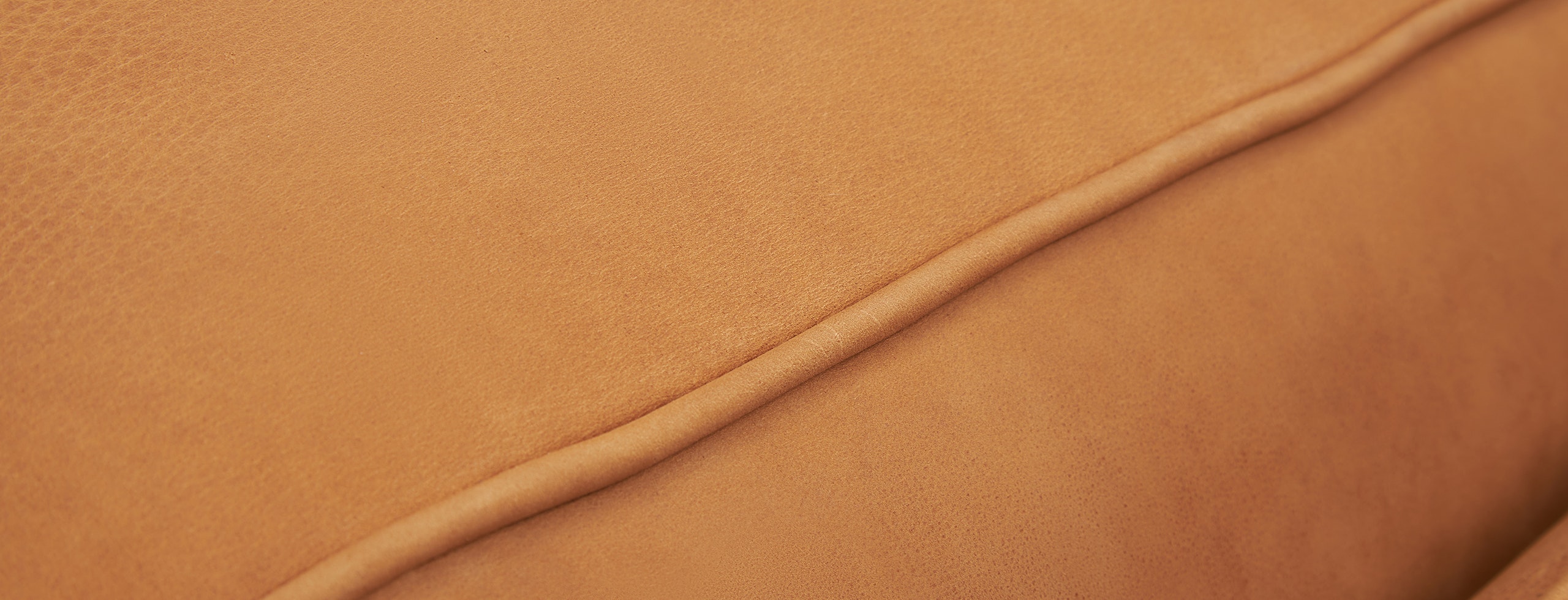 Brock Leather Convertible Sofa Daybed