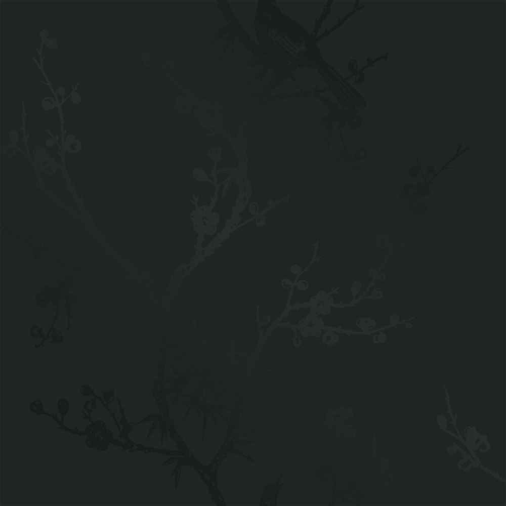 Winter Canopy Wallpaper Midnight