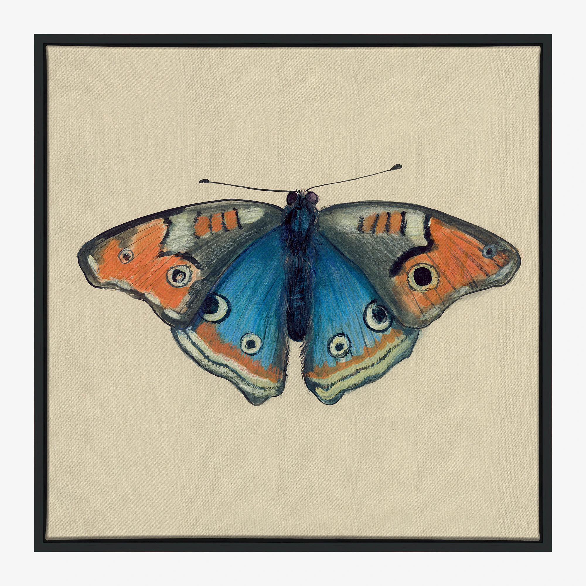 Butterfly Wall Art Orange