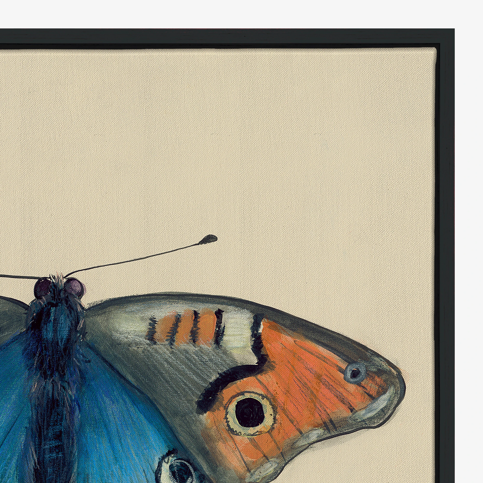 Butterfly Wall Art Orange