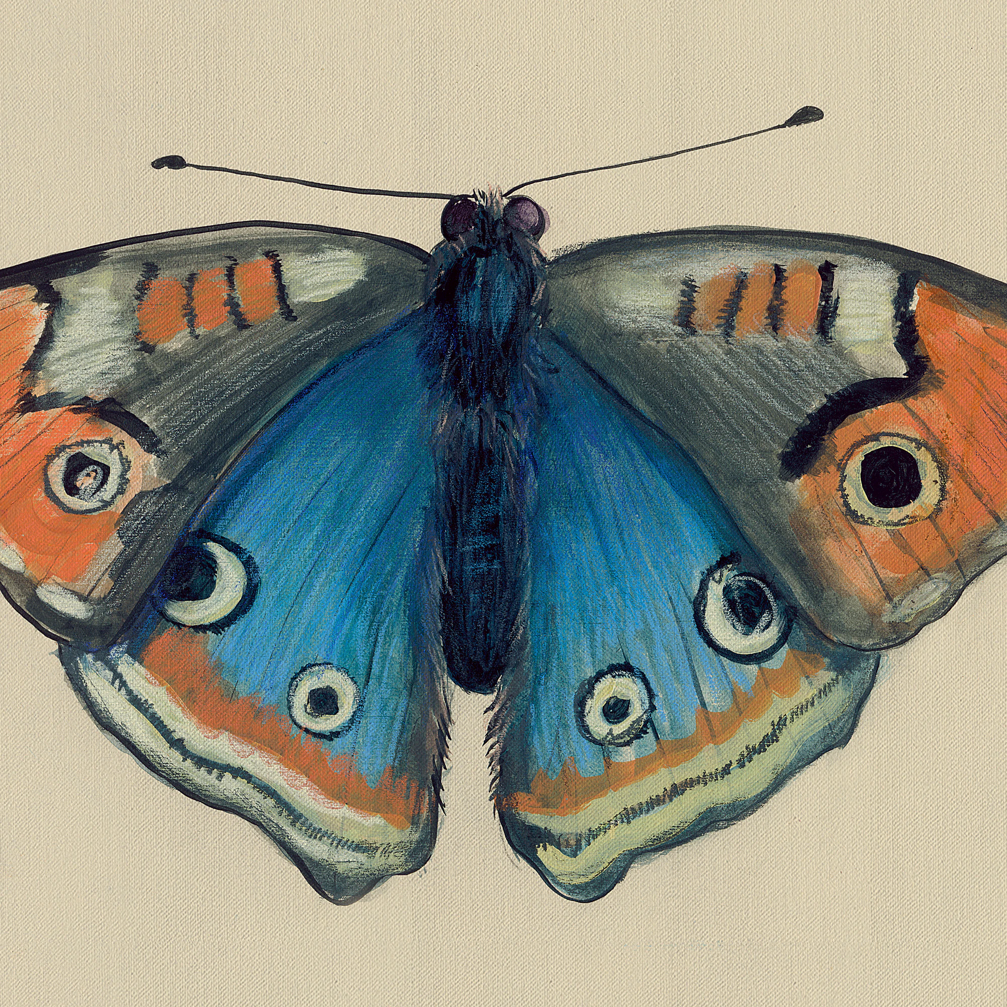 Butterfly Wall Art Orange