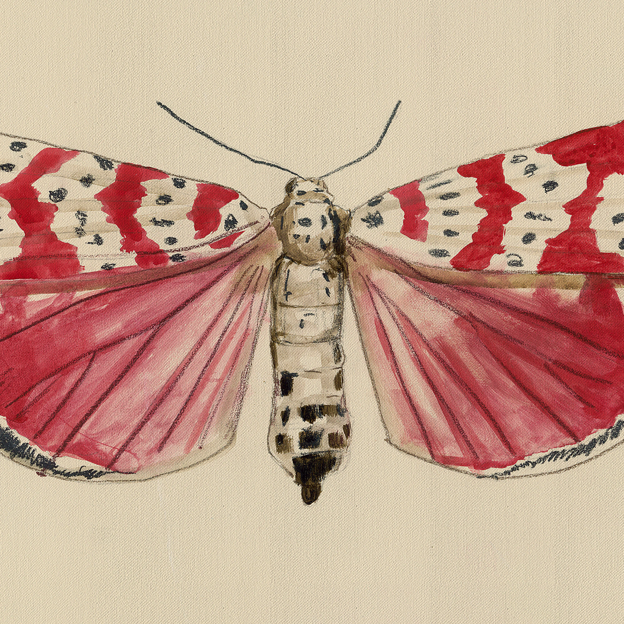 Butterfly Wall Art Red