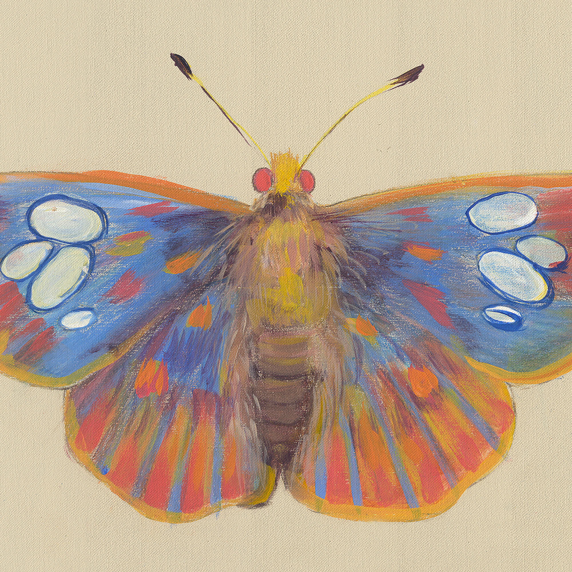 Butterfly Wall Art Yellow