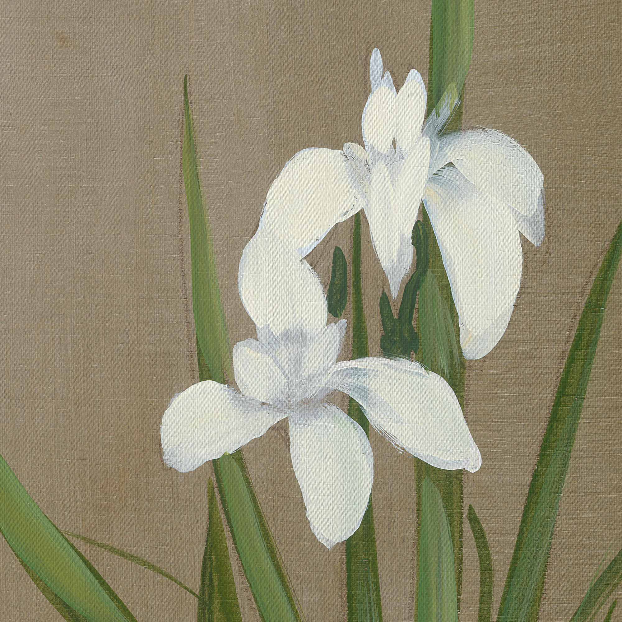 Bloom Wall Art White Art
