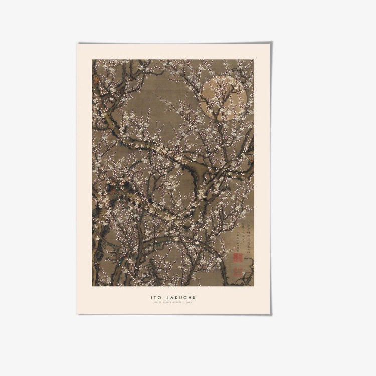 Ito Jakuchu White Plum Art Print