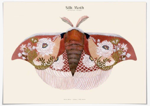 Silk Moths Art Print