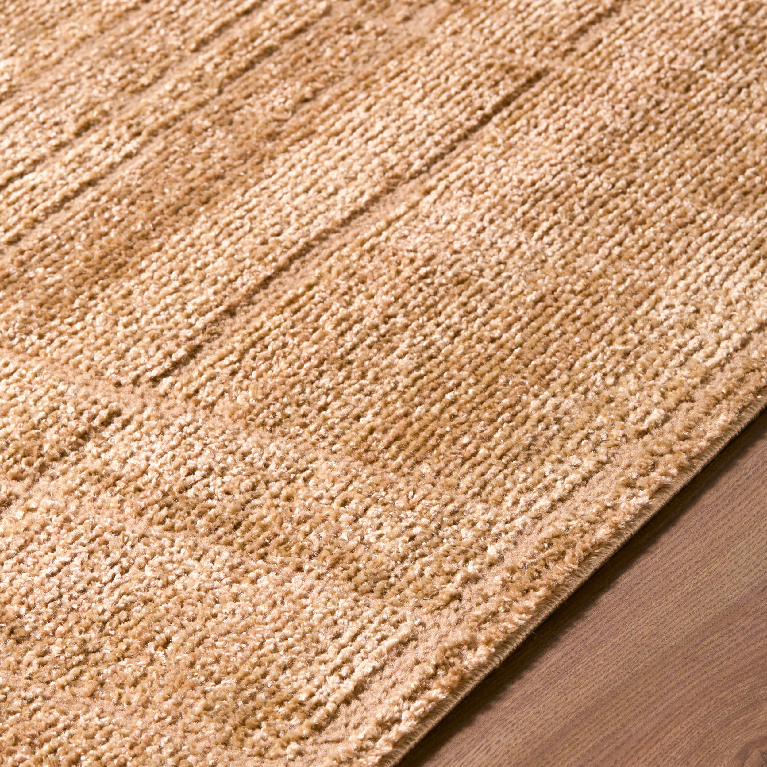 Andy Rug