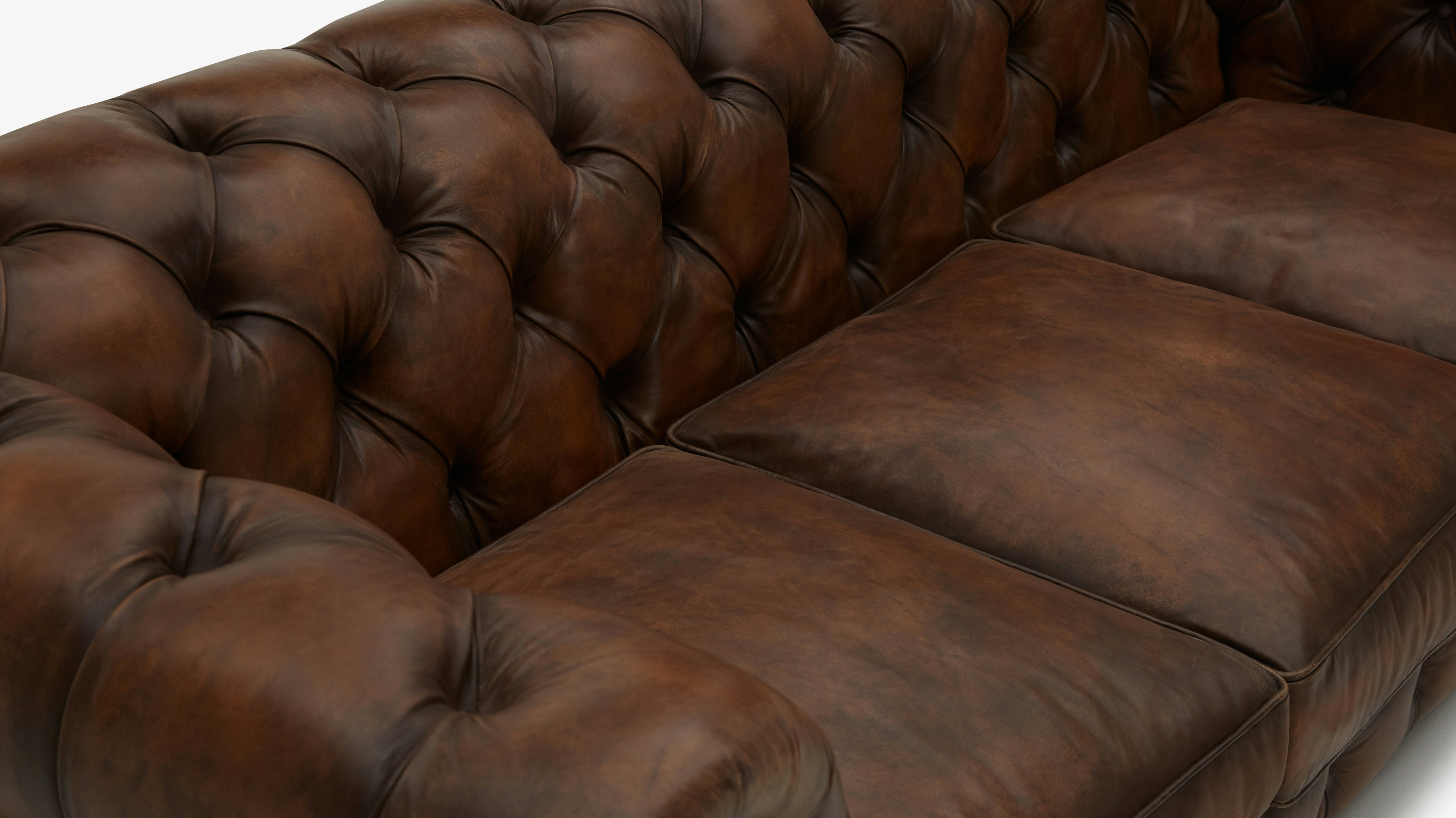 Liam Leather Sofa Joybird