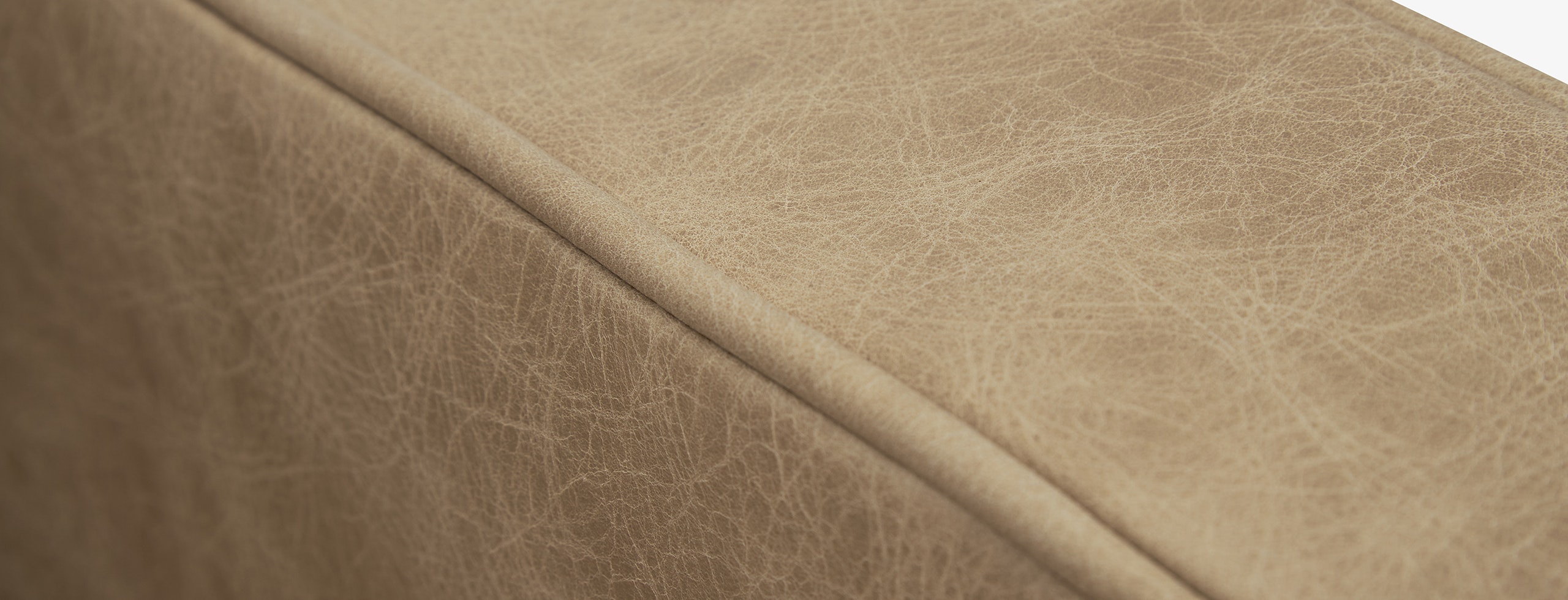 Briar Leather Chair Santiago Bisque