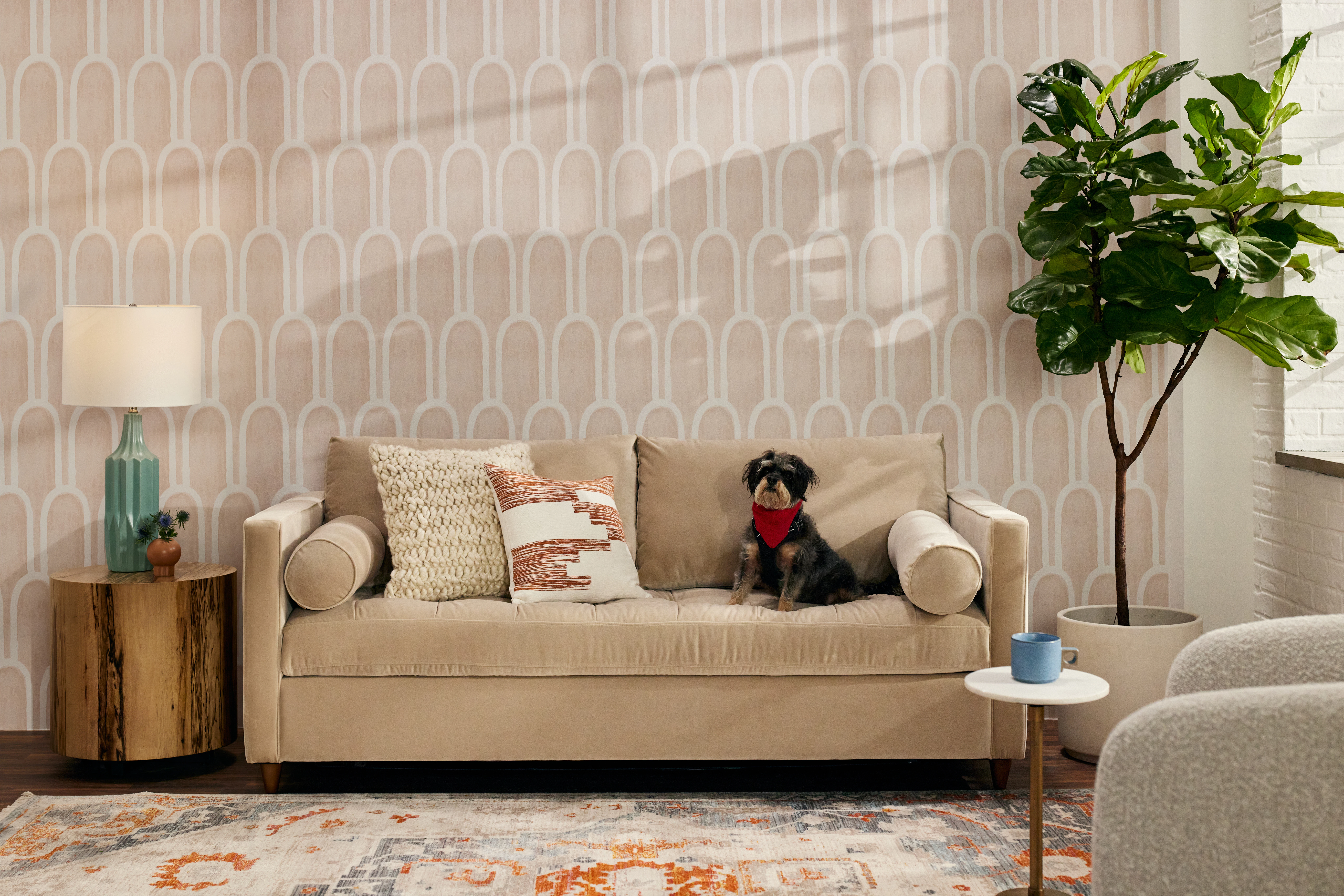 Joybird Briar Sleeper Sofa 20230526 Pet Friendly