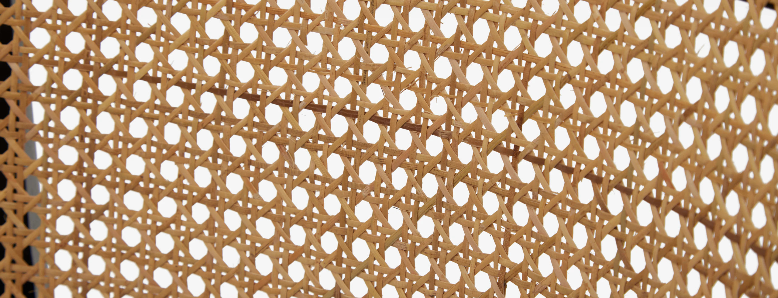 Errol Dining Chair