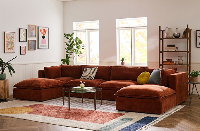 685X450 Collections Haine