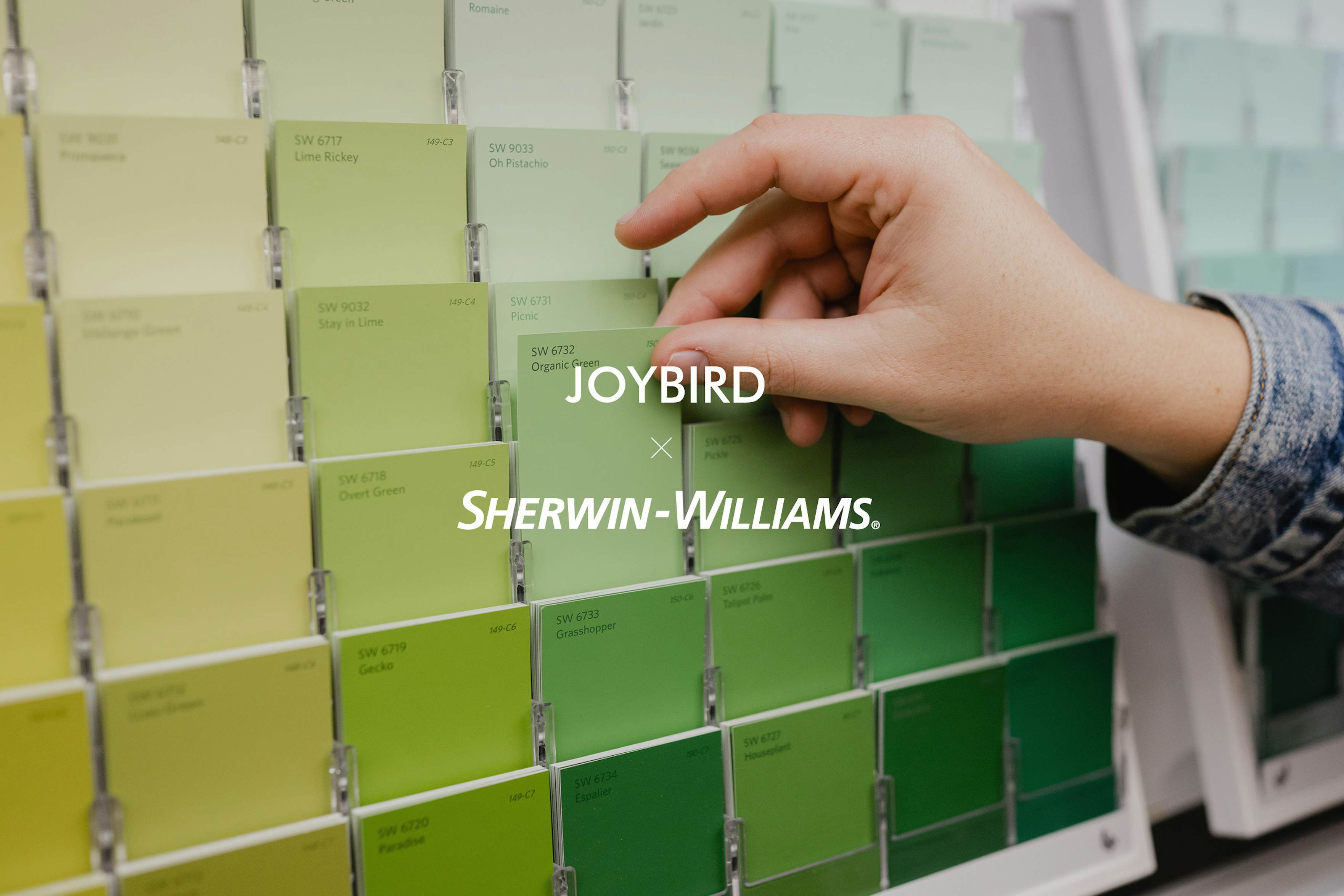 Joybird x SherwinWilliams Collaboration Joybird