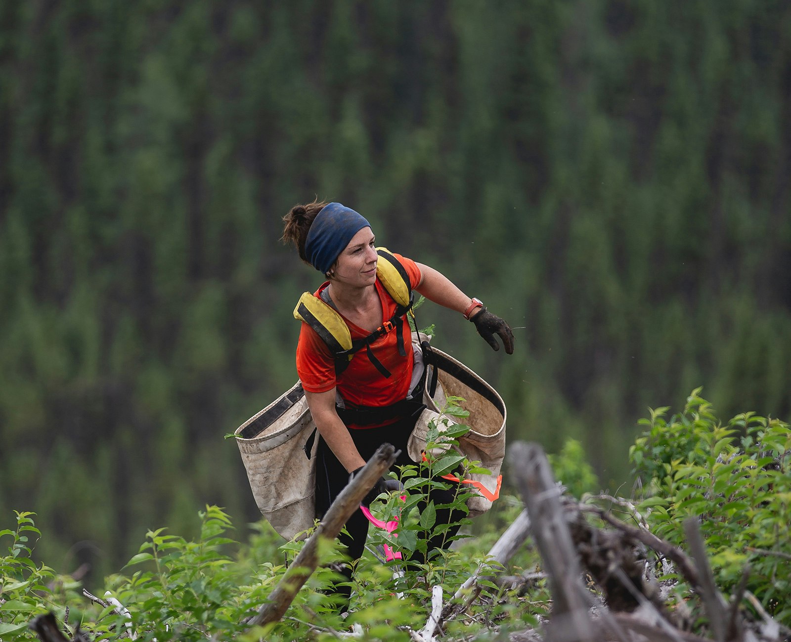 Tile OTP Thumb 1629324772044