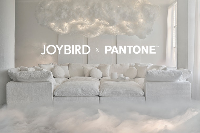 Pantone collaboration block 1764872084673