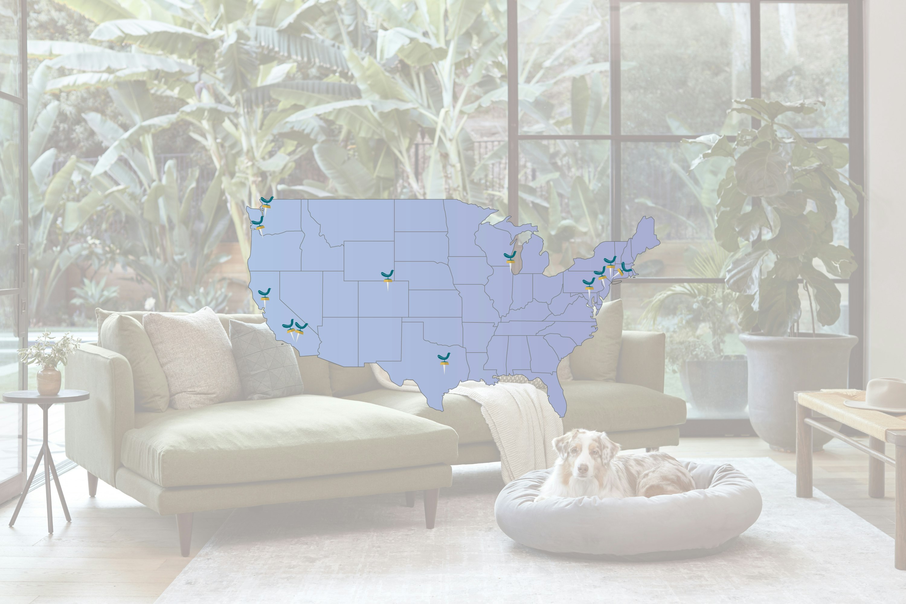 Joybird Showrooms Visit Us Today Joybird