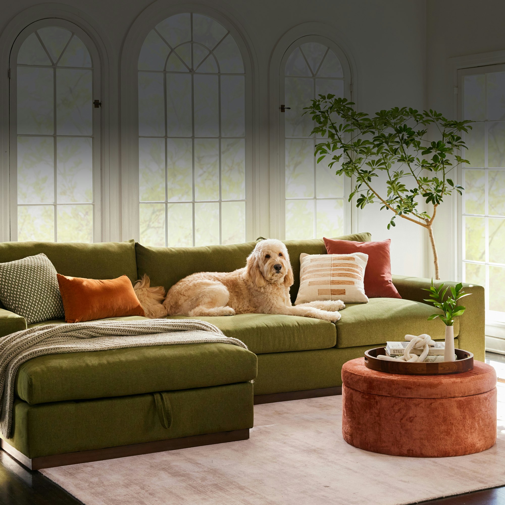 pet friendly home2 1712773059106