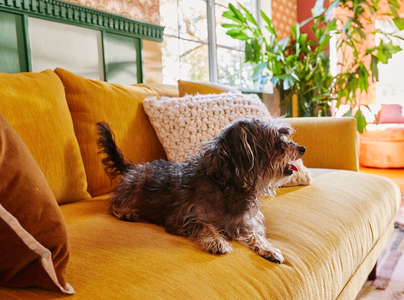 webimage F9C9CFB0 7C4A 4EAE 886C3852408FCB37